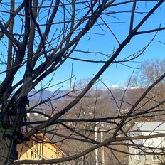 5 соток, участок - изображение 3