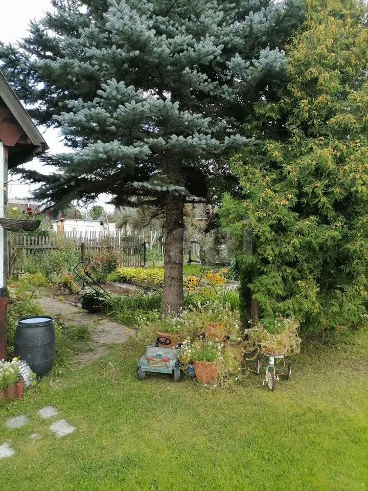 Дом 2-комн. 25 м² в Томск — фото 11 из 18