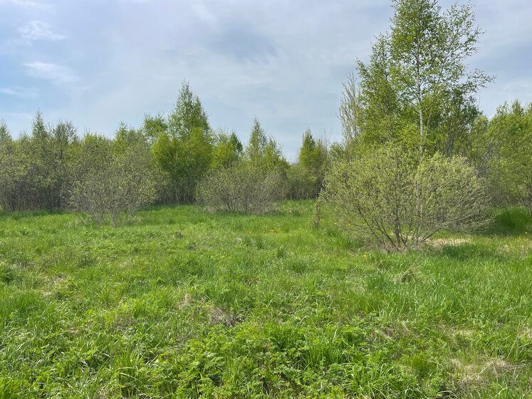 10 соток, участок 900 000 ₽ - изображение 9