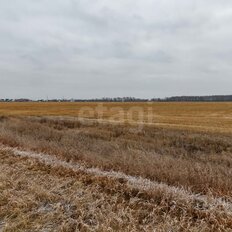 7,4 сотки, участок - изображение 3