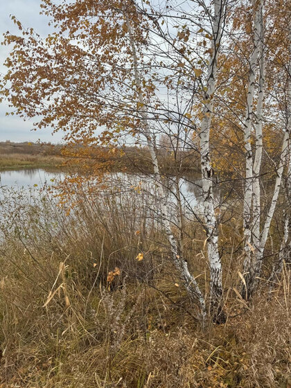 196 м², помещение свободного назначения 12 000 000 ₽ - изображение 55