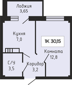 Квартира 30 м², 1-комнатная - изображение 1