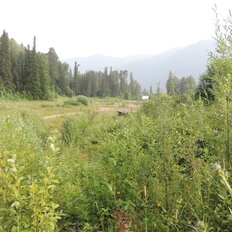 18 соток, участок - изображение 4