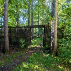 14,8 сотки, участок - изображение 4