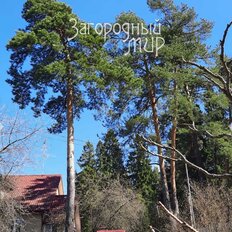 6 соток, участок - изображение 2