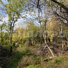 10 соток, участок - изображение 3