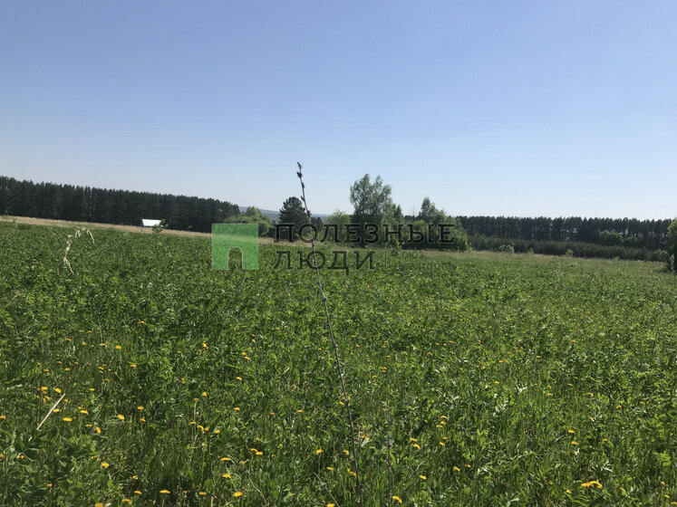 854,2 м², торговое помещение 60 000 000 ₽ - изображение 25