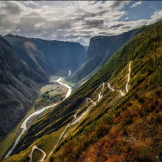 1 га, участок - изображение 1