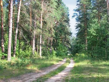 Купить квартиру с евроремонтом и в новостройке в Санкт-Петербурге и ЛО - изображение 33