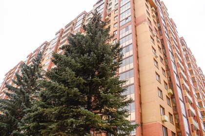 60,5 м², 2-комнатная квартира 42 000 ₽ в месяц - изображение 65