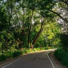 20,6 сотки, участок - изображение 1