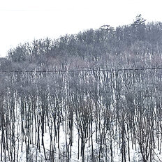 Квартира 44 м², 2-комнатная - изображение 1