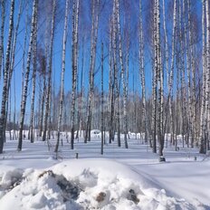 10 соток, участок - изображение 4