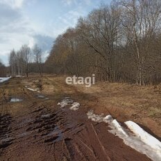 11 соток, участок - изображение 2