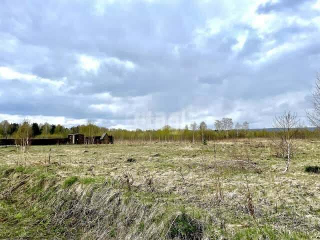 12 соток, участок 130 000 ₽ - изображение 45