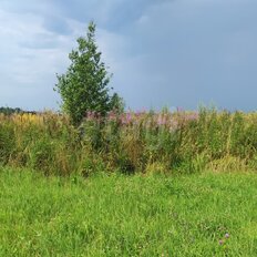 6 соток, участок - изображение 4