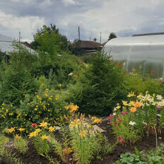 дом + 10,5 сотки, участок - изображение 4