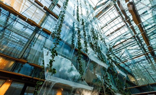 «Сталинка, я выбираю тебя!». Почему люди хотят жить в домах 30–50-х годов постройки