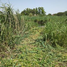 дом + 30 соток, участок - изображение 1