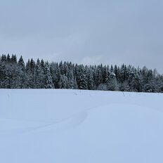 12 соток, участок - изображение 2