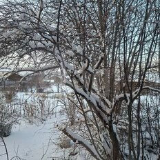 12 соток, участок - изображение 5