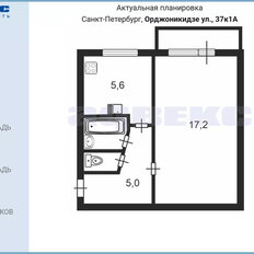 Квартира 30,9 м², 1-комнатная - изображение 5