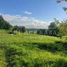151,3 га, участок - изображение 2