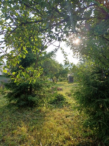 159,3 м², 3-комнатная квартира 23 890 000 ₽ - изображение 15