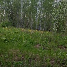 7 соток, участок - изображение 3