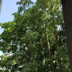 Квартира 50 м², 2-комнатная - изображение 5