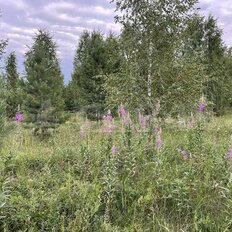 8,5 сотки, участок - изображение 1