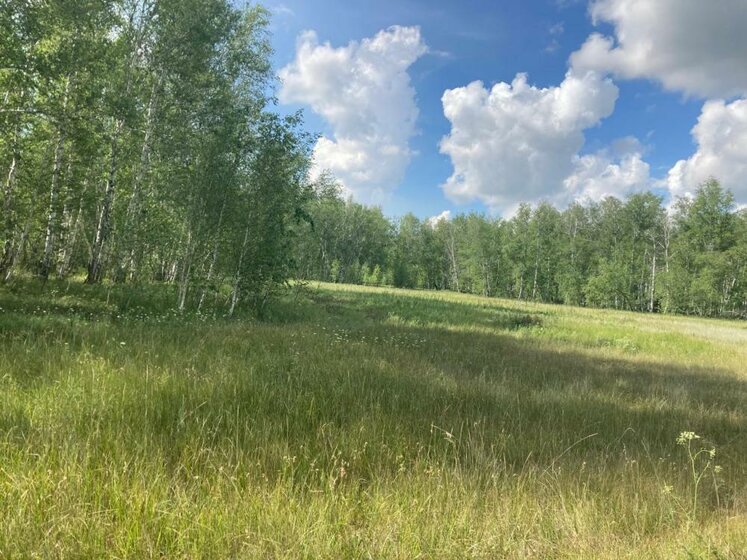 18 соток, участок 8 000 000 ₽ - изображение 1