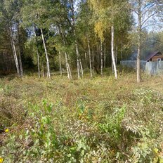 8 соток, участок - изображение 3