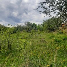 12 соток, участок - изображение 2