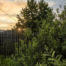 дом + 8 соток, участок - изображение 1