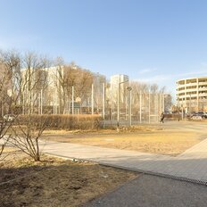 Квартира 81 м², 4-комнатная - изображение 3