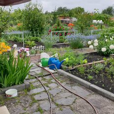 4,4 сотки, участок - изображение 3