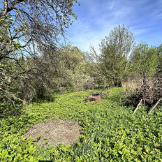 5,9 сотки, участок - изображение 4