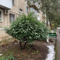 Квартира 44 м², 2-комнатная - изображение 2