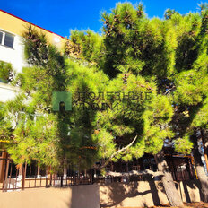 Квартира 17 м², студия - изображение 2