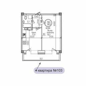 Квартира 42,9 м², 1-комнатная - изображение 1