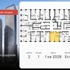 Квартира 34,7 м², 2-комнатная - изображение 2