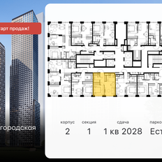 Квартира 37,1 м², 2-комнатная - изображение 2