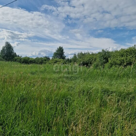 13,8 сотки, участок 1 600 000 ₽ - изображение 39