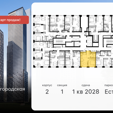 Квартира 34,8 м², 2-комнатная - изображение 2