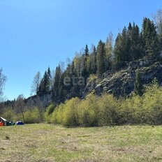 2,5 га, участок - изображение 2