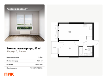 Квартира 37 м², 1-комнатная - изображение 1