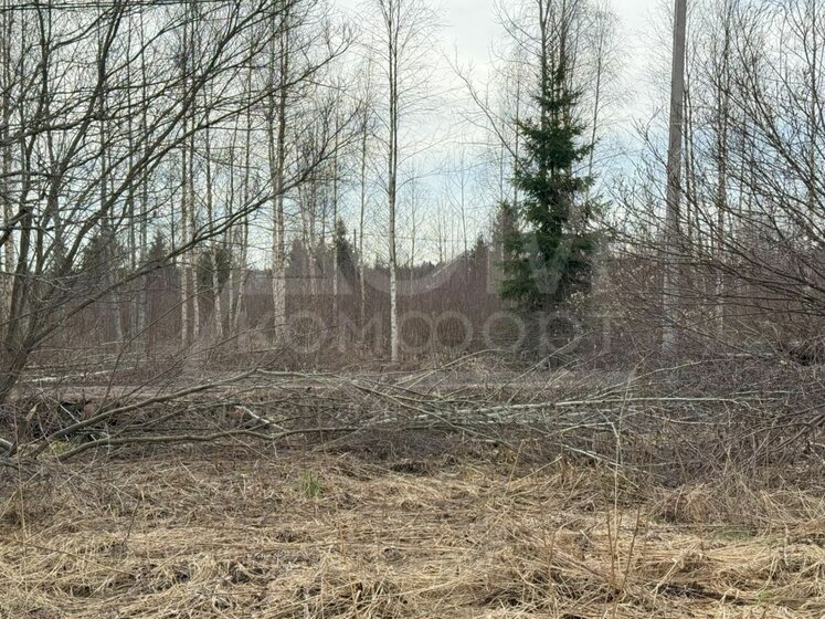 10 соток, участок 690 000 ₽ - изображение 25