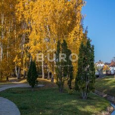 17,2 сотки, участок - изображение 1