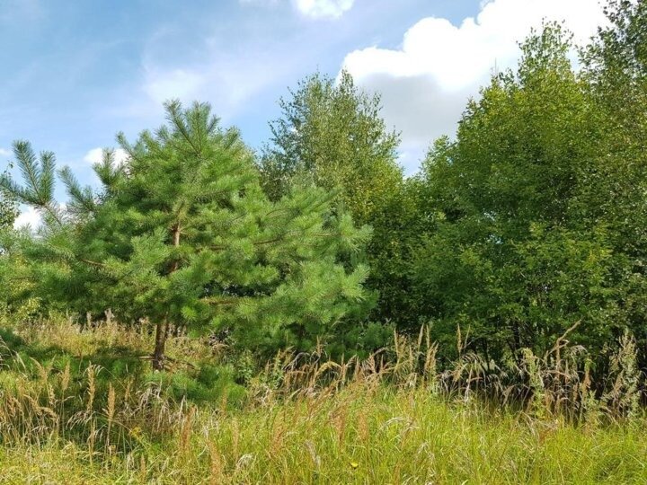 25,1 м², квартира-студия 5 153 700 ₽ - изображение 17